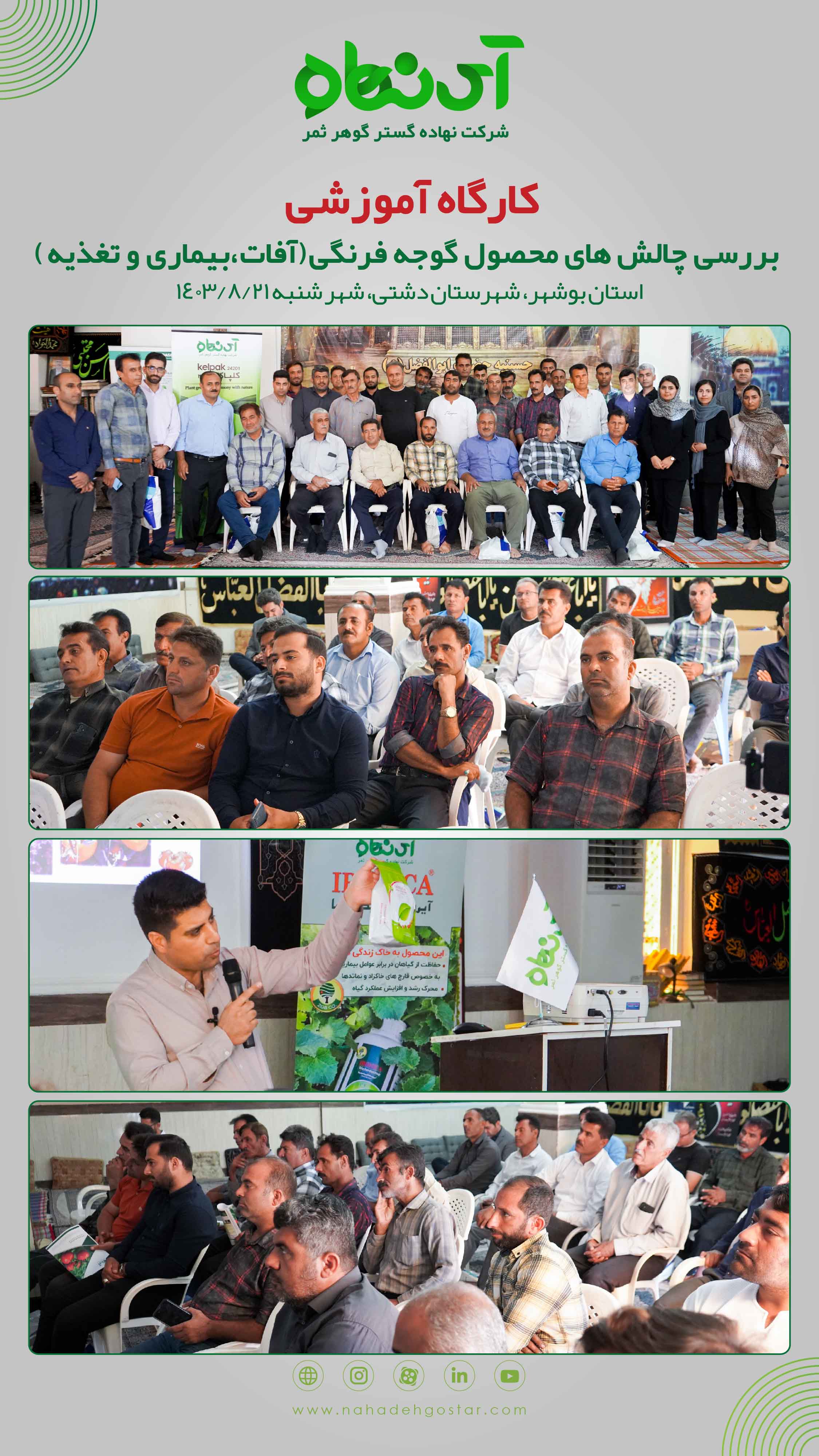 کارگاه آموزشی بررسی چالش های محصول گوجه فرنگی( آفات، بیماری و تغذیه)، بوشهر